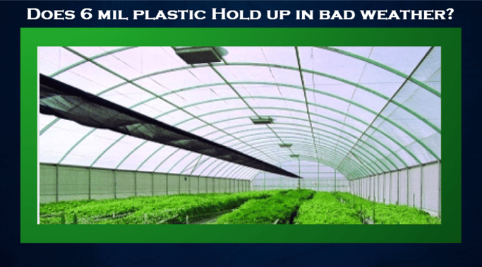 SolaWrap vs. 6 mil poly for greenhouses: Durability & Insulation vs. Affordability. 