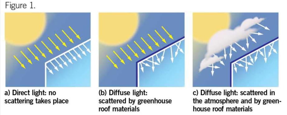 Diffuse light vs direct light SolaWrap Greenhouse Plastic