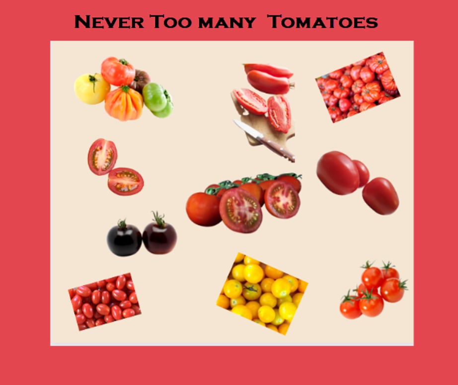 There are numerous types of tomatoes, each with its unique characteristics, flavors, and uses. Here is a list of some common types of tomatoes: